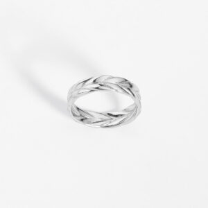 Anillo