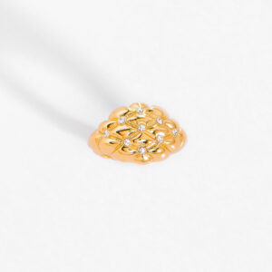 Anillo