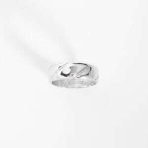 Anillo