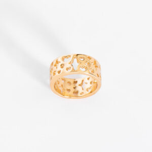 Anillo