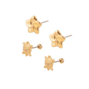 Duo de aretes