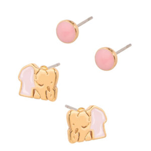Duo de aretes