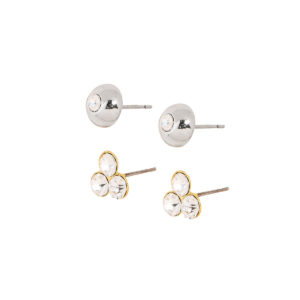 Duo de aretes