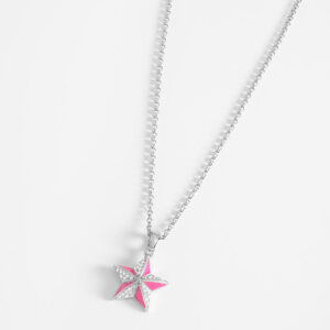 Collar de estrella paris NICE baño platino elegante