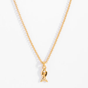 Collar